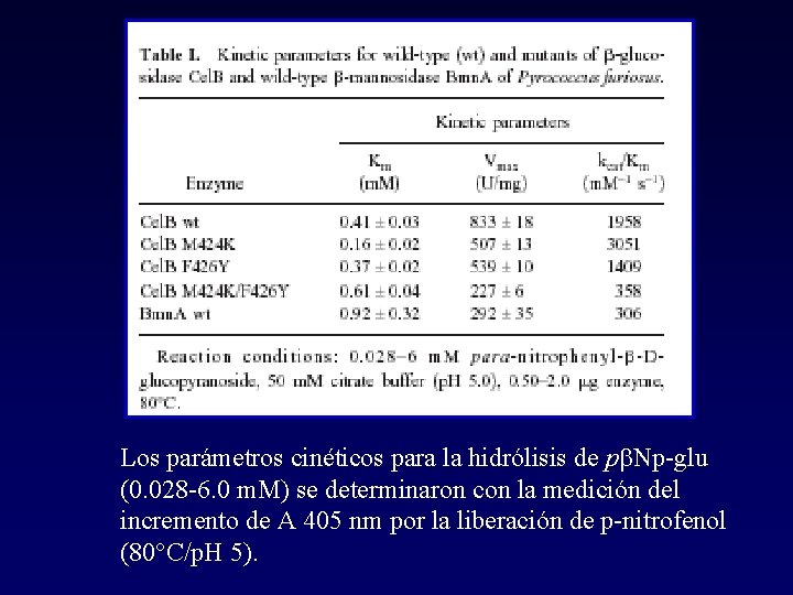 Los parámetros cinéticos para la hidrólisis de pb. Np-glu (0. 028 -6. 0 m.