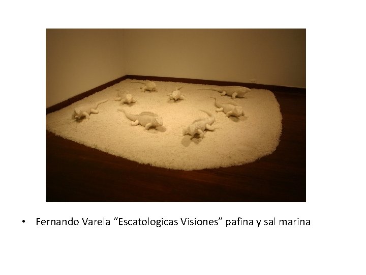  • Fernando Varela “Escatologicas Visiones” pafina y sal marina 