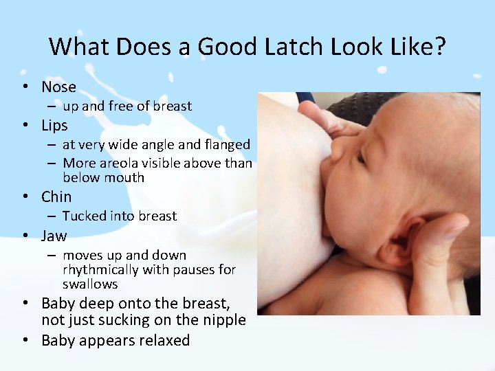 What Does a Good Latch Look Like? • Nose – up and free of