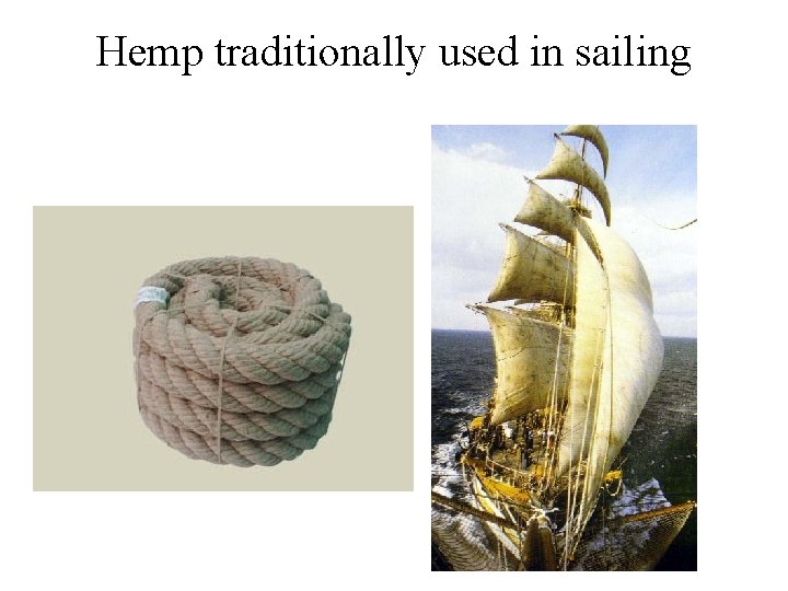 Hemp traditionally used in sailing Hemp traditionally used in sailing