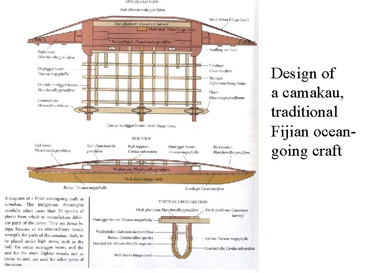 Design of a camakau, traditional Fijian oceangoing craft 