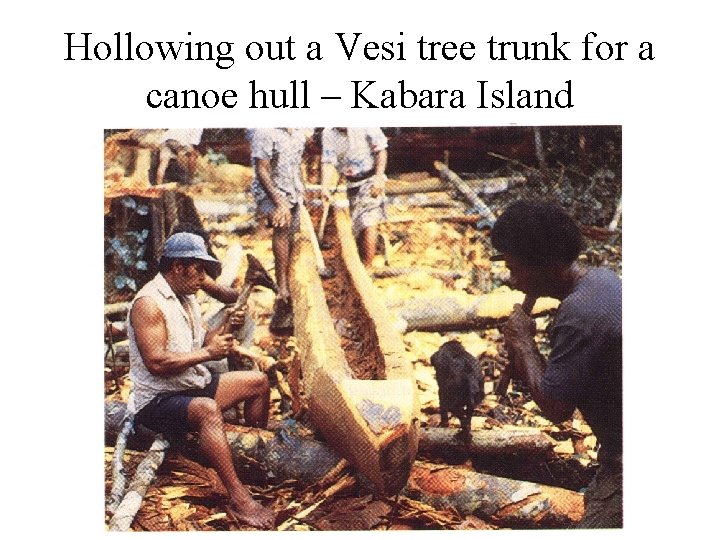 Hollowing out a Vesi tree trunk for a canoe hull – Kabara Island 