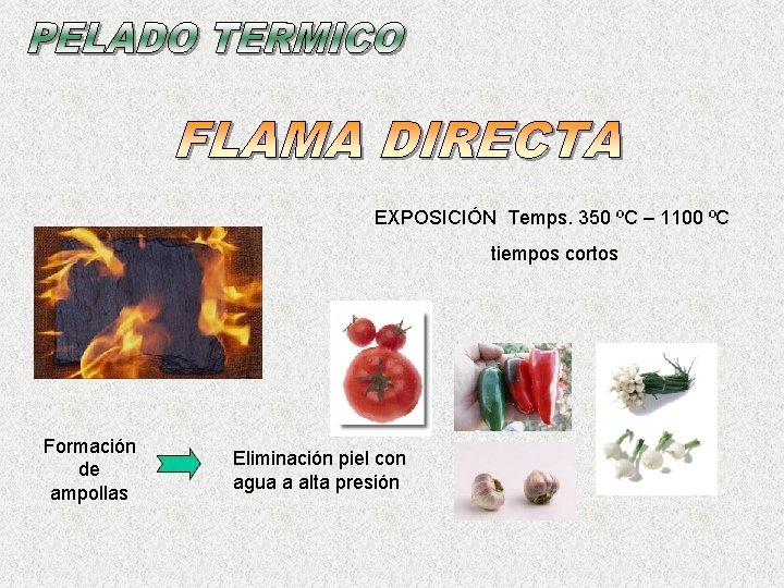 EXPOSICIÓN Temps. 350 ºC – 1100 ºC tiempos cortos Formación de ampollas Eliminación piel