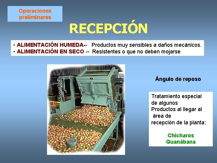 Operaciones preliminares RECEPCIÓN • ALIMENTACIÓN HUMEDA-- Productos muy sensibles a daños mecánicos. • ALIMENTACIÓN