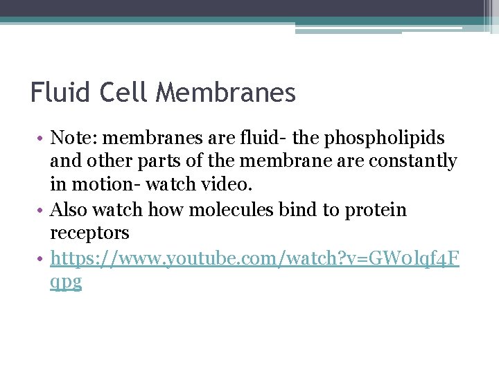 Fluid Cell Membranes • Note: membranes are fluid- the phospholipids and other parts of