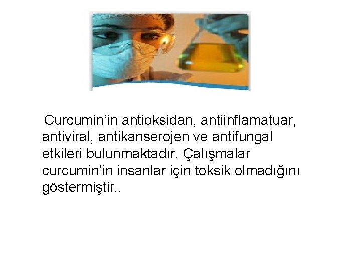  Curcumin’in antioksidan, antiinflamatuar, antiviral, antikanserojen ve antifungal etkileri bulunmaktadır. Çalışmalar curcumin’in insanlar için