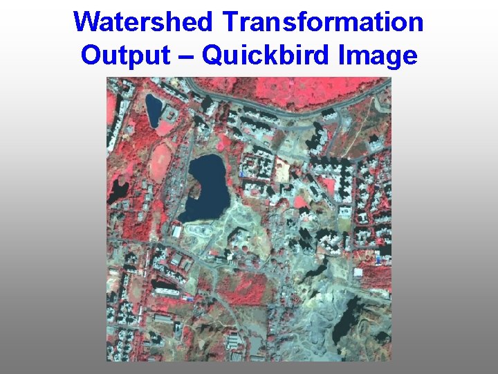 Watershed Transformation Output – Quickbird Image 