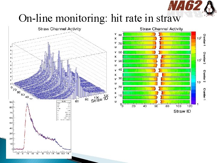 On-line monitoring: hit rate in straw 
