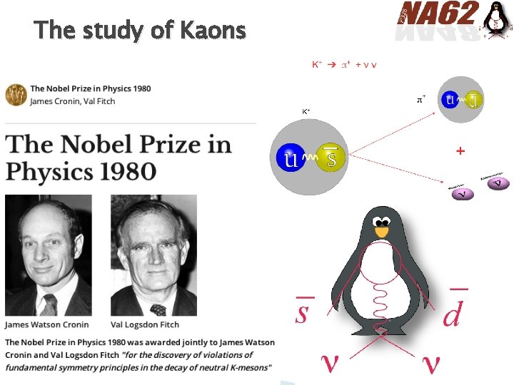 The study of Kaons 