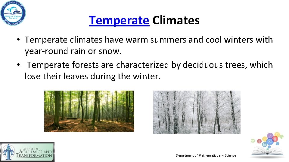 Temperate Climates • Temperate climates have warm summers and cool winters with year-round rain