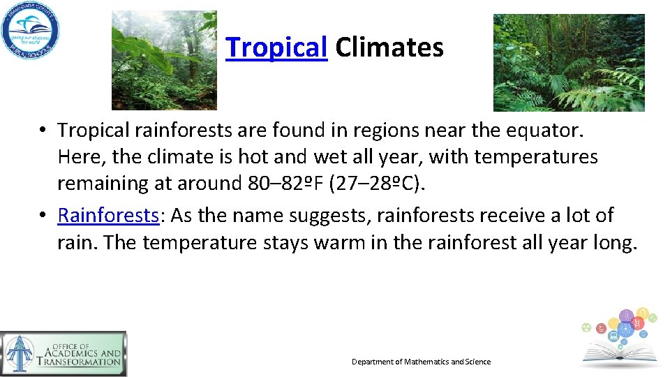 Tropical Climates • Tropical rainforests are found in regions near the equator. Here, the