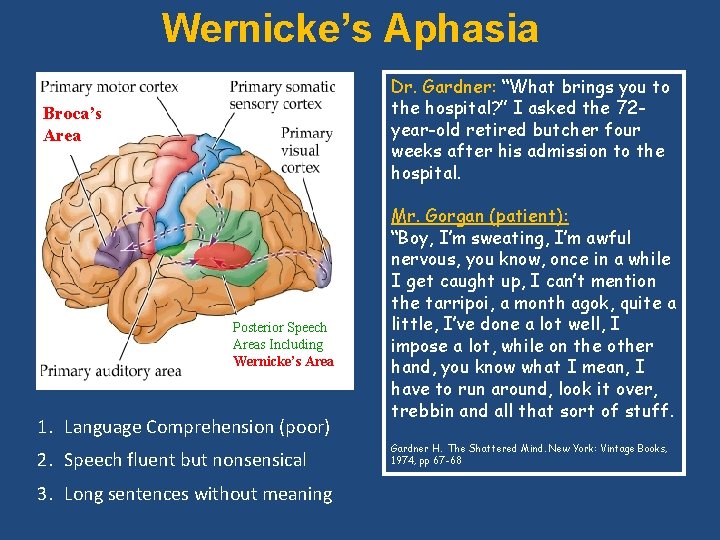 Wernicke’s Aphasia Dr. Gardner: “What brings you to the hospital? ” I asked the