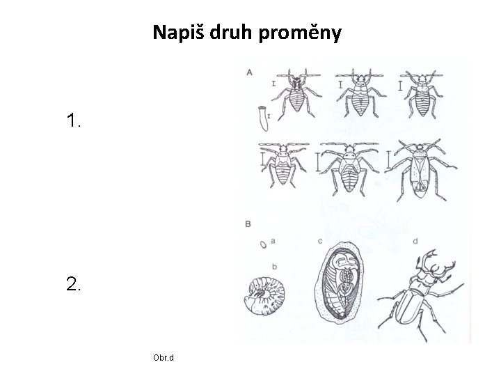 Napiš druh proměny 1. 2. Obr. d 