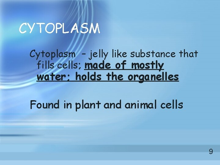 CYTOPLASM Cytoplasm – jelly like substance that fills cells; made of mostly water; holds CYTOPLASM Cytoplasm – jelly like substance that fills cells; made of mostly water; holds