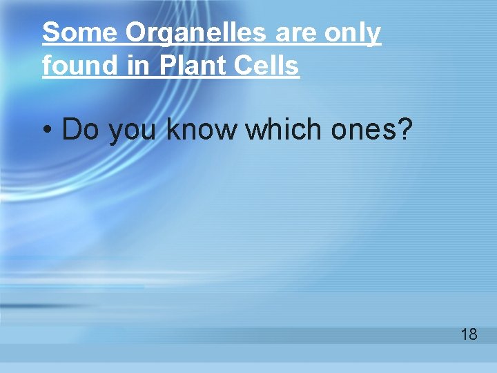 Some Organelles are only found in Plant Cells • Do you know which ones? Some Organelles are only found in Plant Cells • Do you know which ones?