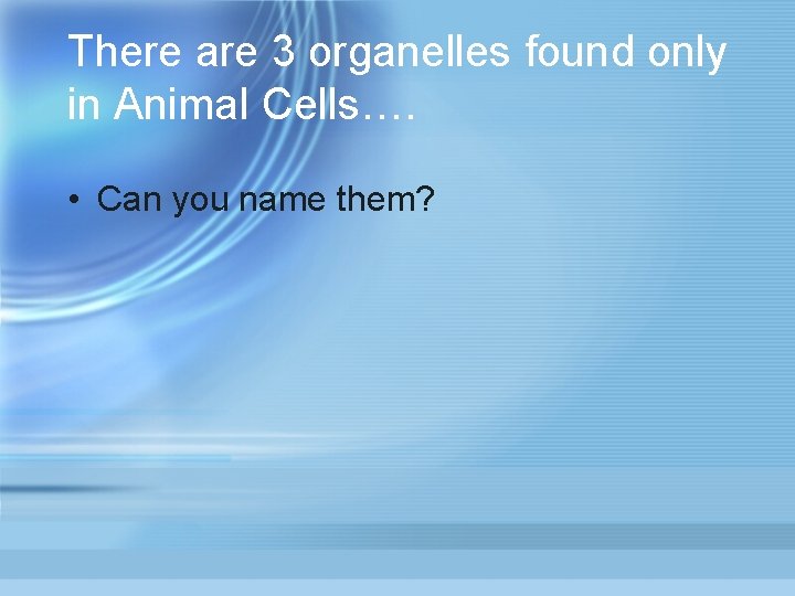 There are 3 organelles found only in Animal Cells…. • Can you name them? There are 3 organelles found only in Animal Cells…. • Can you name them?