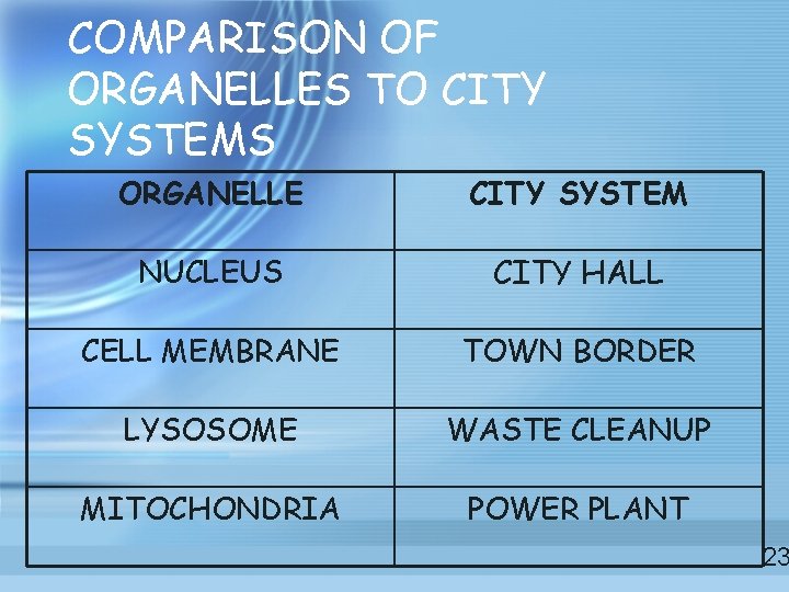 COMPARISON OF ORGANELLES TO CITY SYSTEMS ORGANELLE CITY SYSTEM NUCLEUS CITY HALL CELL MEMBRANE COMPARISON OF ORGANELLES TO CITY SYSTEMS ORGANELLE CITY SYSTEM NUCLEUS CITY HALL CELL MEMBRANE
