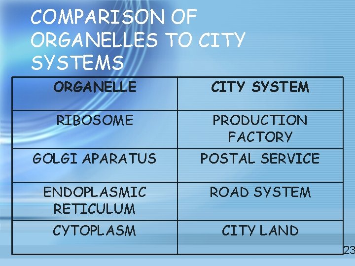 COMPARISON OF ORGANELLES TO CITY SYSTEMS ORGANELLE CITY SYSTEM RIBOSOME PRODUCTION FACTORY GOLGI APARATUS COMPARISON OF ORGANELLES TO CITY SYSTEMS ORGANELLE CITY SYSTEM RIBOSOME PRODUCTION FACTORY GOLGI APARATUS