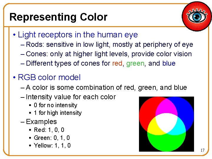 Representing Color • Light receptors in the human eye – Rods: sensitive in low