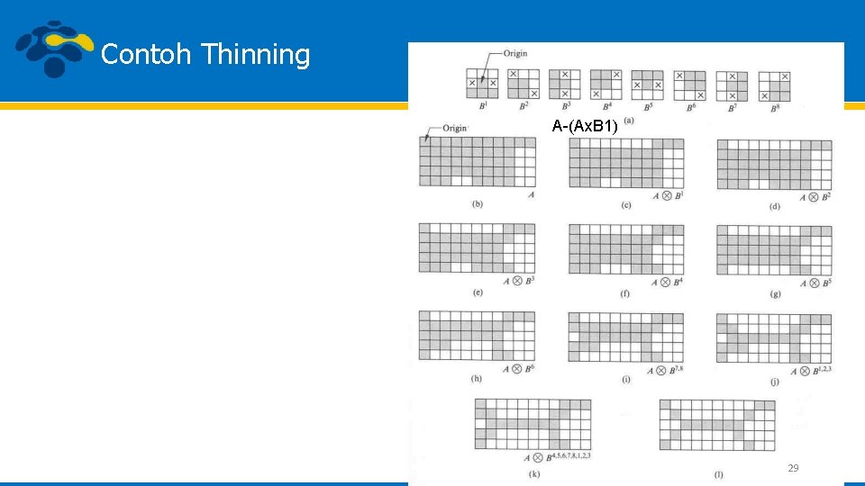 Contoh Thinning A-(Ax. B 1) 29 