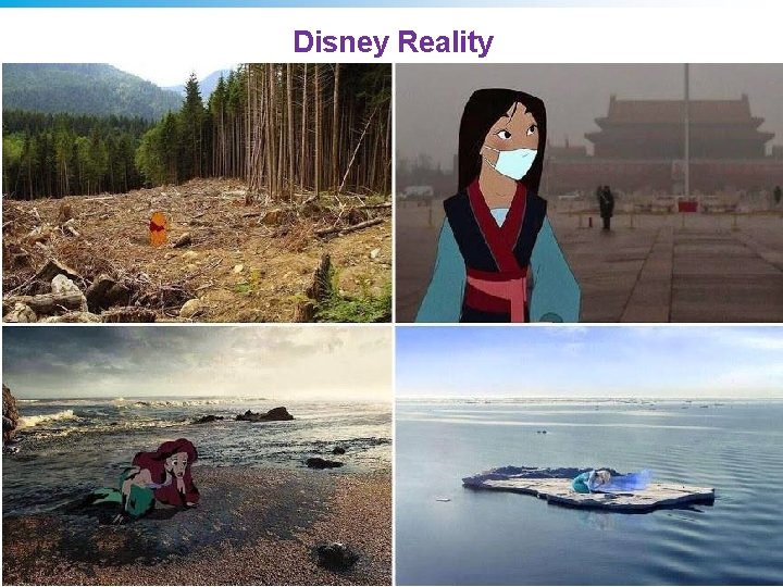 Disney Reality © 2011 Pearson Education, Inc. 