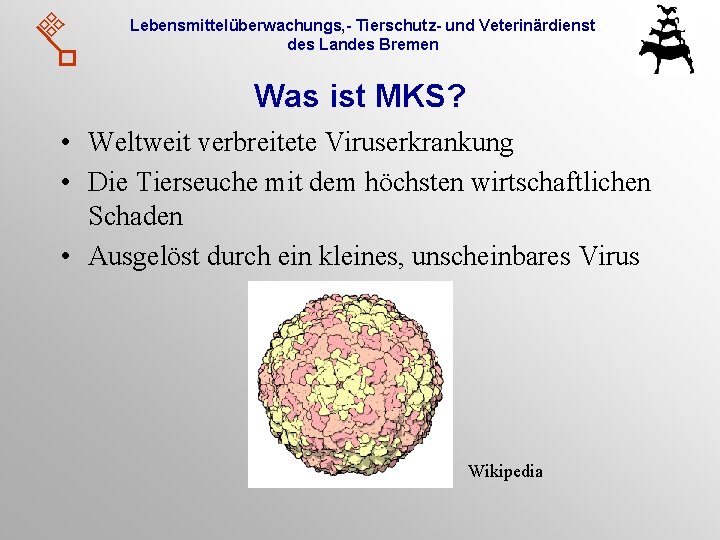 Lebensmittelüberwachungs, - Tierschutz- und Veterinärdienst des Landes Bremen Was ist MKS? • Weltweit verbreitete