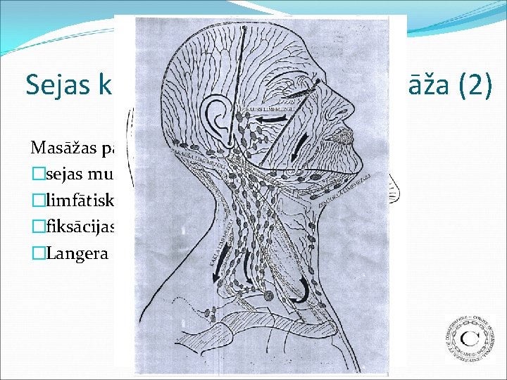 Sejas klasiskā kosmētiskā masāža (2) Masāžas pamatā: �sejas muskuļu izvietojums; �limfātisko mezglu grupu izvietojums;