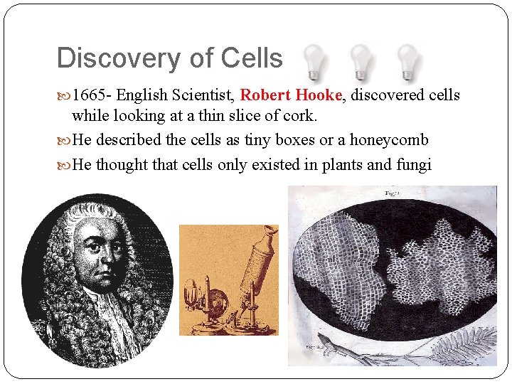 Discovery of Cells 1665 - English Scientist, Robert Hooke, discovered cells while looking at