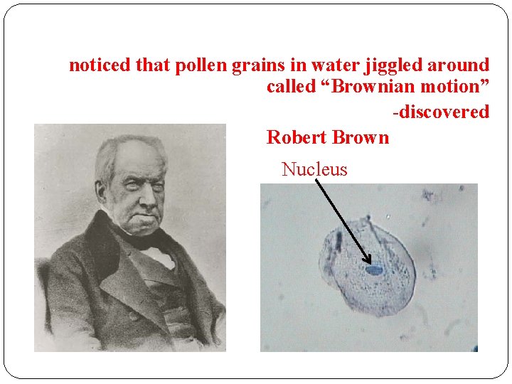 R-noticed that pollen grains in water jiggled around 1827 -33 - Robert Brown called