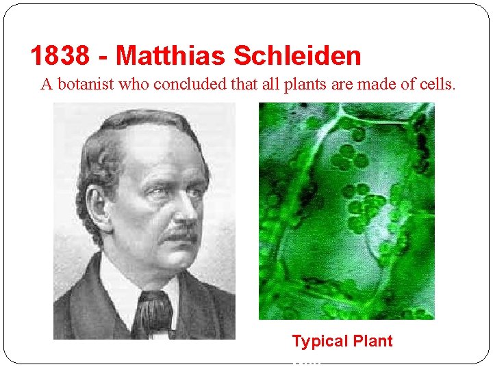 1838 - Matthias Schleiden A botanist who concluded that all plants are made of
