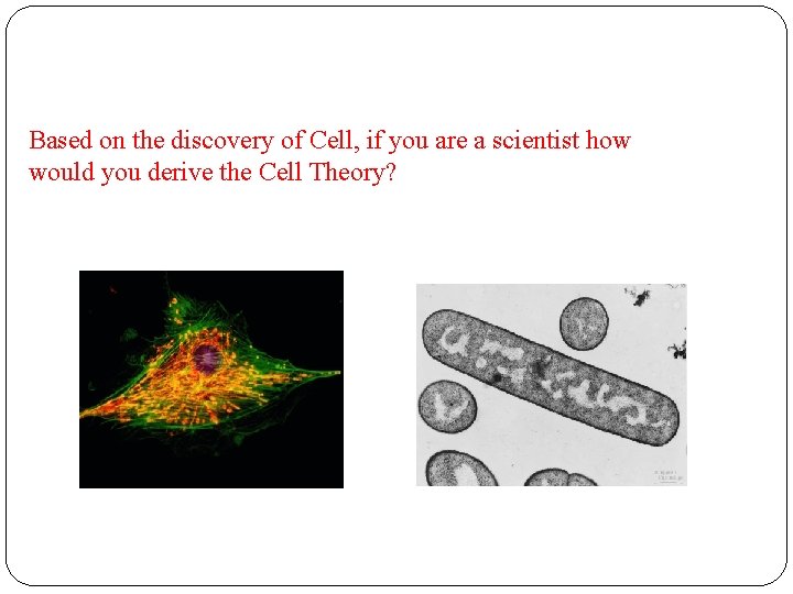 Based on the discovery of Cell, if you are a scientist how would you