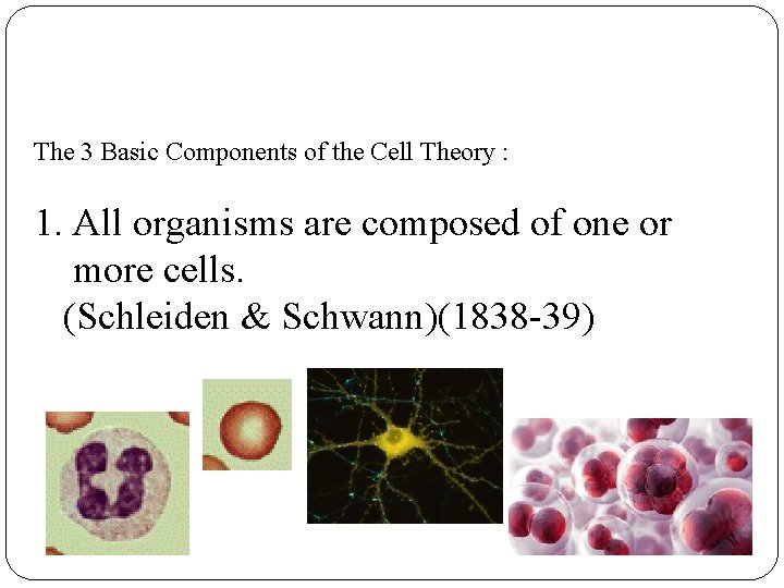 The 3 Basic Components of the Cell Theory : 1. All organisms are composed