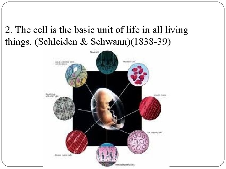 2. The cell is the basic unit of life in all living things. (Schleiden