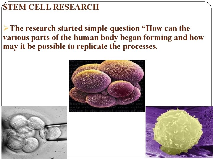 STEM CELL RESEARCH The research started simple question “How can the various parts of