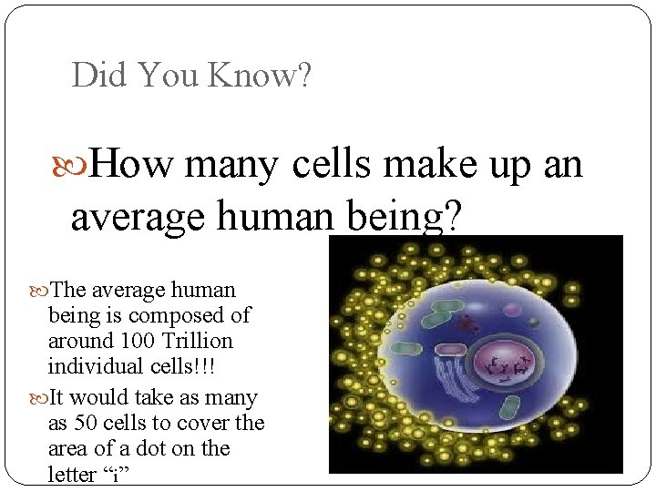Did You Know? How many cells make up an average human being? The average