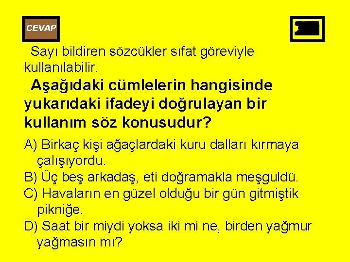 CEVAP 25 26 27 28 29 30 10 11 12 13 14 15 16