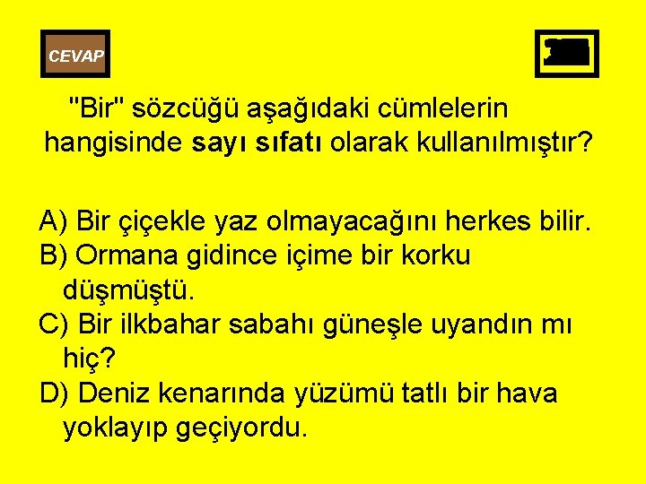CEVAP 25 26 27 28 29 30 10 11 12 13 14 15 16