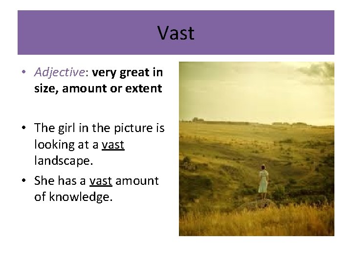 Vast • Adjective: very great in size, amount or extent • The girl in