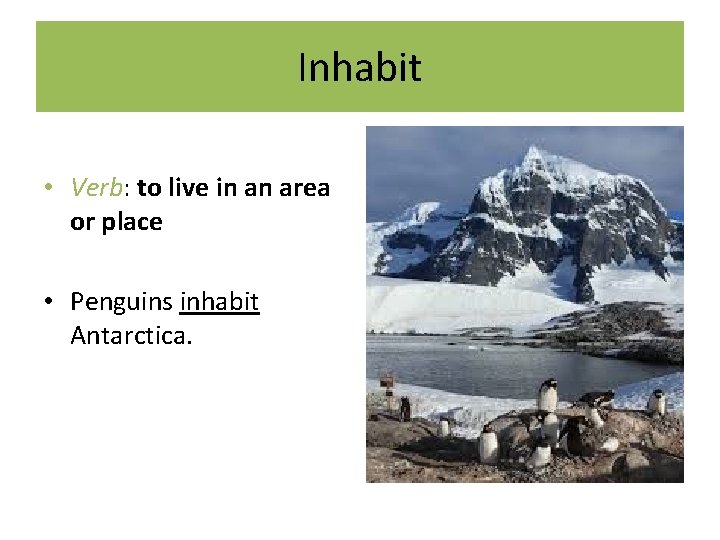 Inhabit • Verb: to live in an area or place • Penguins inhabit Antarctica.