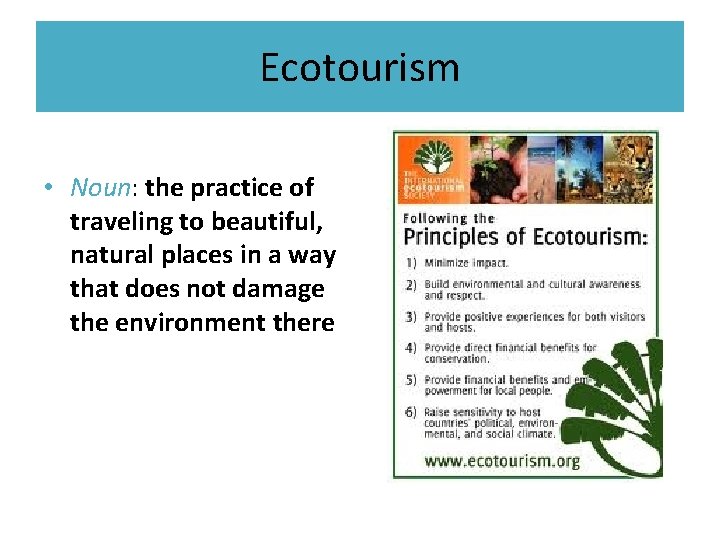 Ecotourism • Noun: the practice of traveling to beautiful, natural places in a way