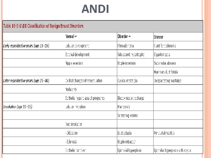 ANDI 