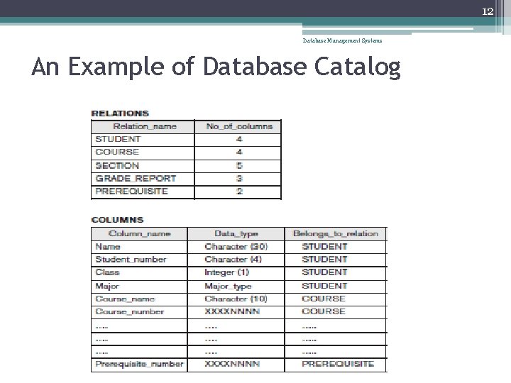 12 Database Management Systems An Example of Database Catalog 