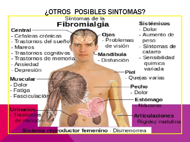 ¿OTROS POSIBLES SINTOMAS? 