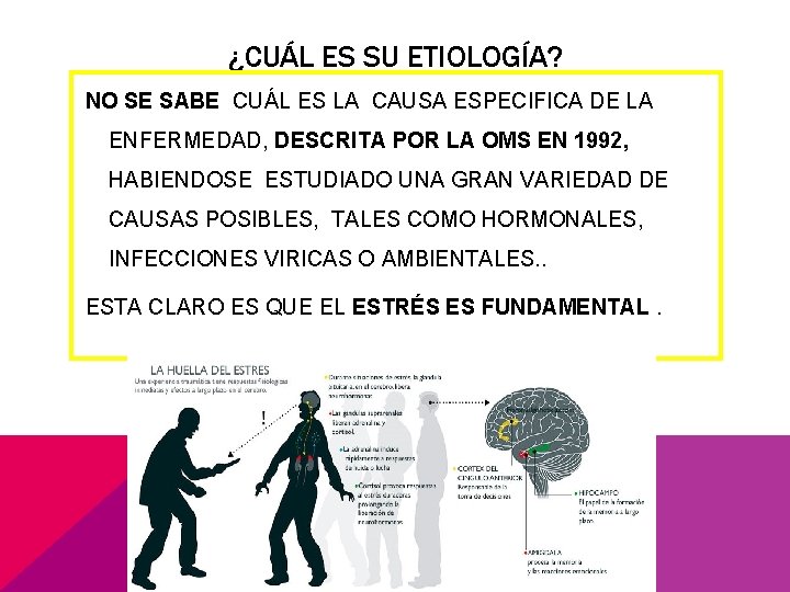 ¿CUÁL ES SU ETIOLOGÍA? NO SE SABE CUÁL ES LA CAUSA ESPECIFICA DE LA