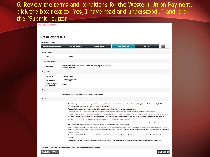 6. Review the terms and conditions for the Western Union Payment, click the box
