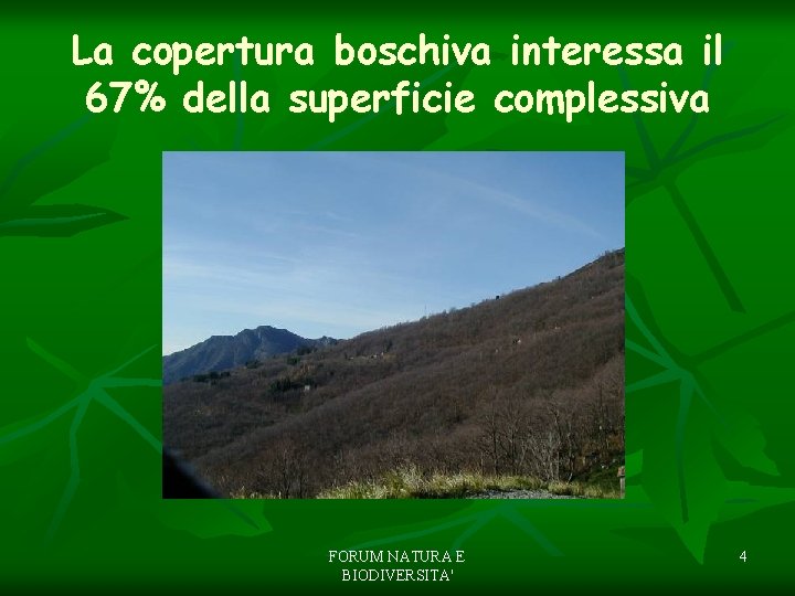 La copertura boschiva interessa il 67% della superficie complessiva FORUM NATURA E BIODIVERSITA' 4