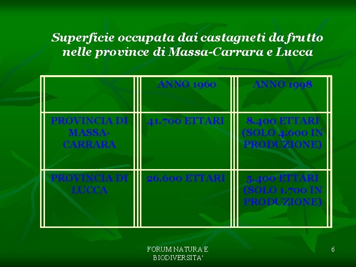 Superficie occupata dai castagneti da frutto nelle province di Massa-Carrara e Lucca ANNO 1960