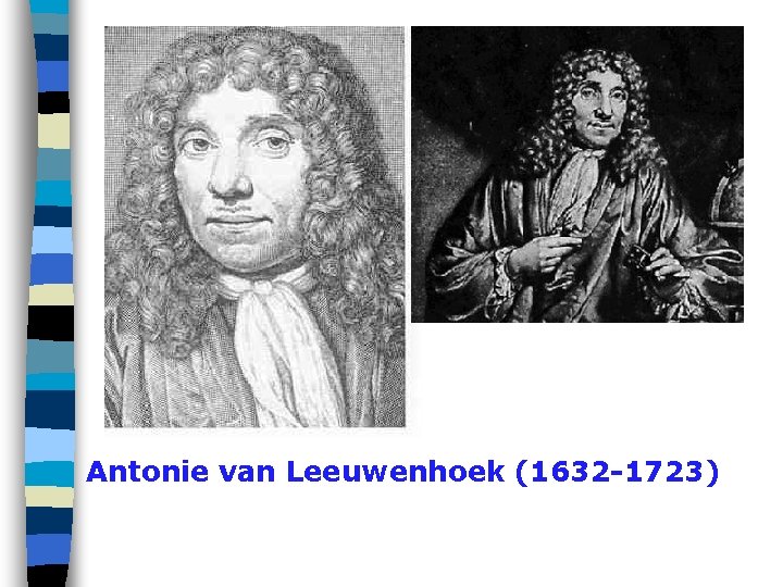 Antonie van Leeuwenhoek (1632 -1723) Antonie van Leeuwenhoek (1632 -1723)