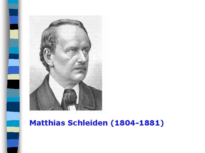 Matthias Schleiden (1804 -1881) 