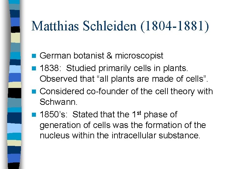 Matthias Schleiden (1804 -1881) German botanist & microscopist n 1838: Studied primarily cells in Matthias Schleiden (1804 -1881) German botanist & microscopist n 1838: Studied primarily cells in